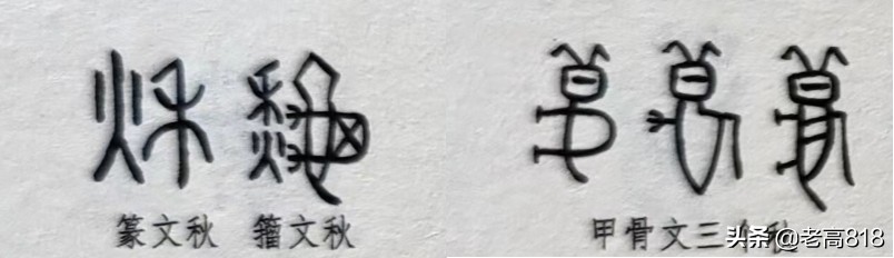 春夏秋冬无闲事，平常心自道中来