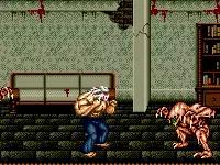 md战棋游戏,md双人游戏