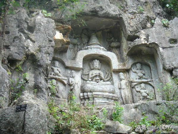 杭州灵隐寺1700年菩提树开花,杭州灵隐寺旅游全攻略