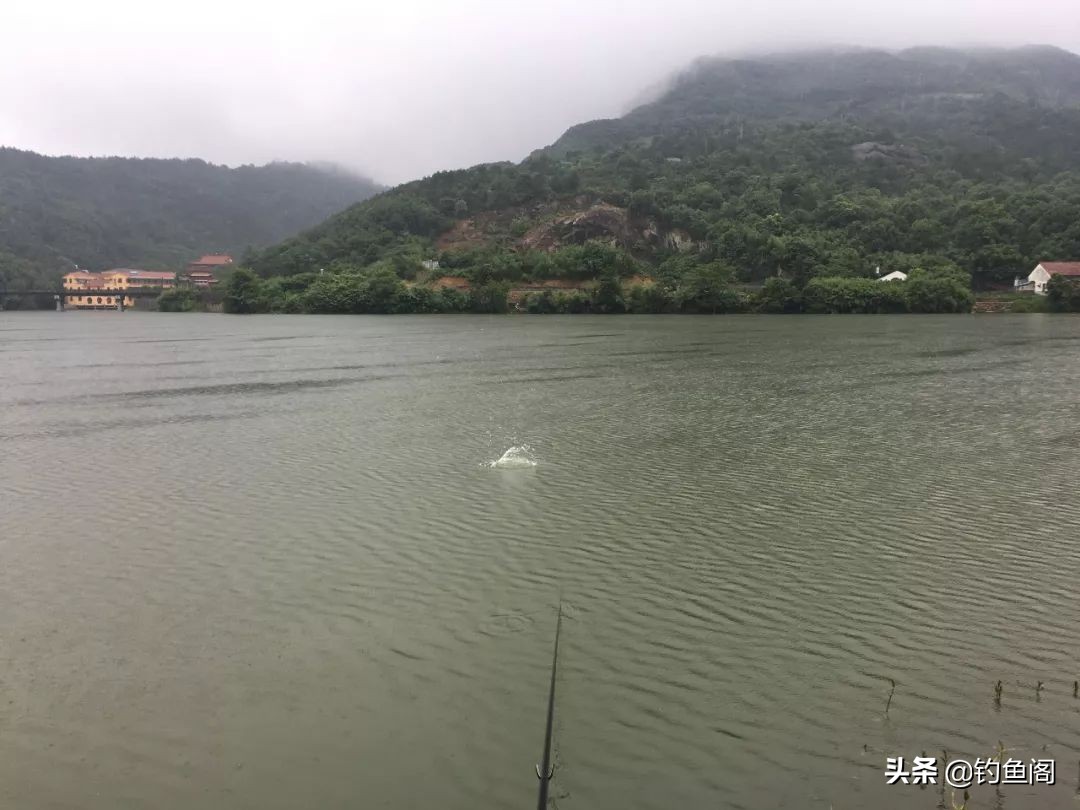 钓鱼主线上临时绑浮头怎么绑,钓鱼漂座如何穿到主线上