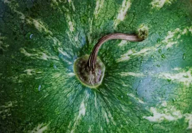 说文解字第0019集,说文解字第143课全集