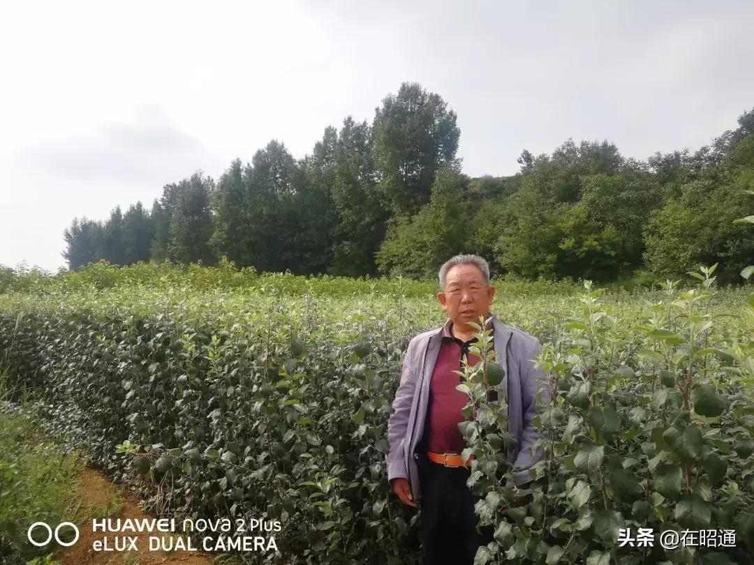 昭通陈正荣：栽上“致富苗”，点燃2000户村民脱贫希望！