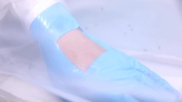 驱蚊剂治蚊子最好的方法,小蚊子的克星是什么