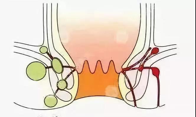 肛门潮湿是怎么回事男性用什么药,肛门瘙痒是什么原因