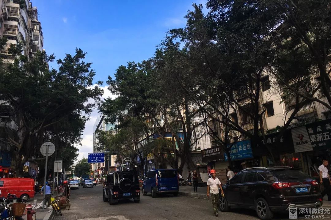 水贝十年,水贝10年