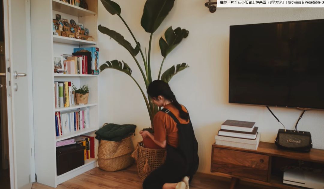 李子柒靠海外视频月入80万,德国版李子柒