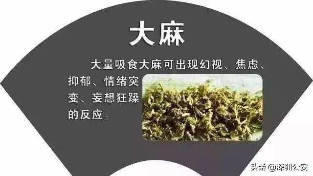 知识点常识大全,知识点大全及注意事项