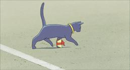 中华田园橘白猫脾气好吗,中华田园白猫配什么猫