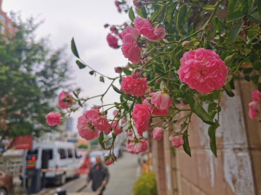 人为什么会看着一个地方发呆,有时候可以看着一个地方发呆很久