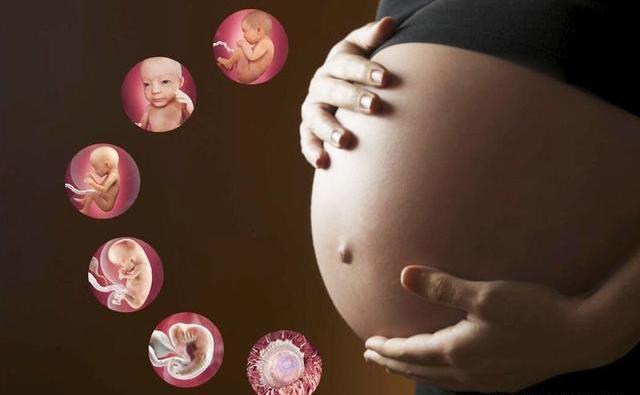 怀孕几个月开始显怀二胎,怀孕几个月开始显怀比较明显