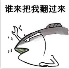 长颈鹿是怎么进化成长脖子的,长颈鹿为什么有长长的脖子呢