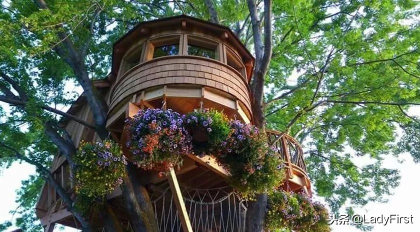 提升女孩子气质的纪录片,女性提高见识的电影