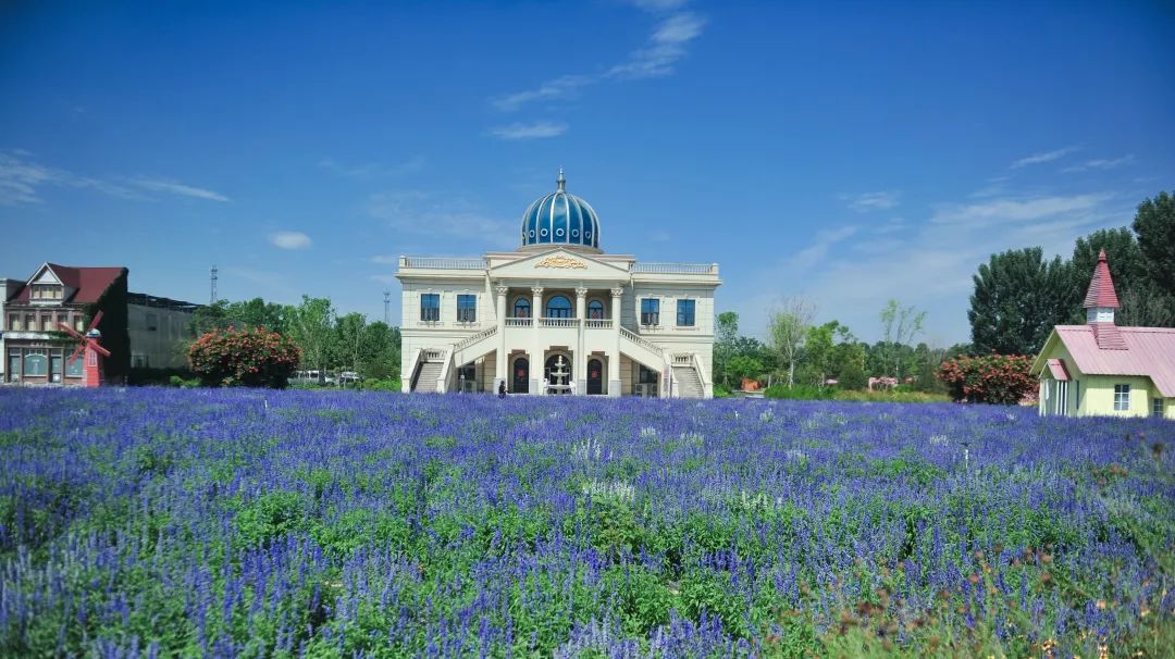 在济南花式避暑,一见“清”心!只需一瞥,便足以把酷夏原谅…