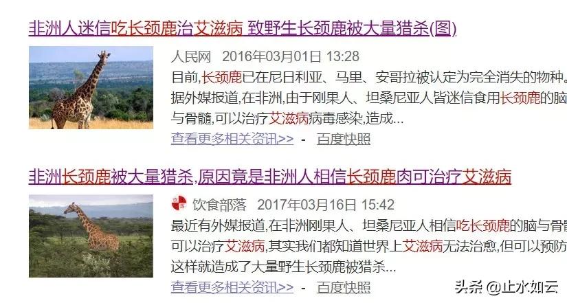 吃长颈鹿治艾滋病？为保护谣言下的生命他们建了家世界唯一的酒店