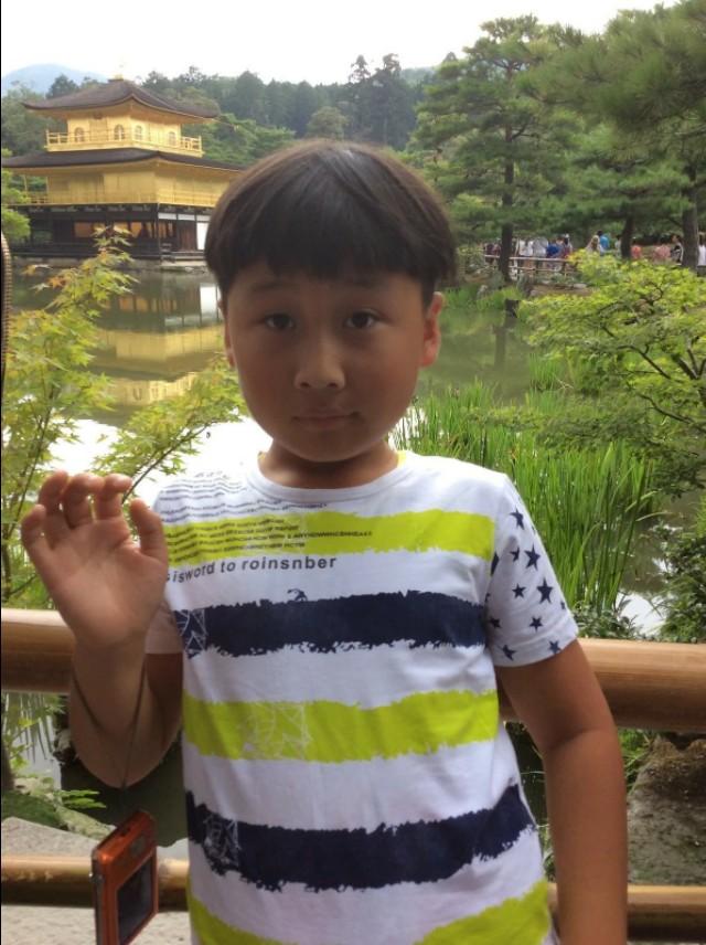 鲁迅心路历程朝花夕拾,鲁迅的朝花夕拾简介