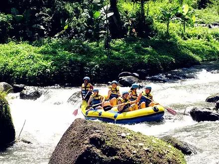 巴厘岛鸟园旅游攻略,大连至巴厘岛旅游自由行攻略