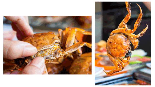 龙岩牛特火锅烤肉,龙岩自助烤肉哪一家好吃