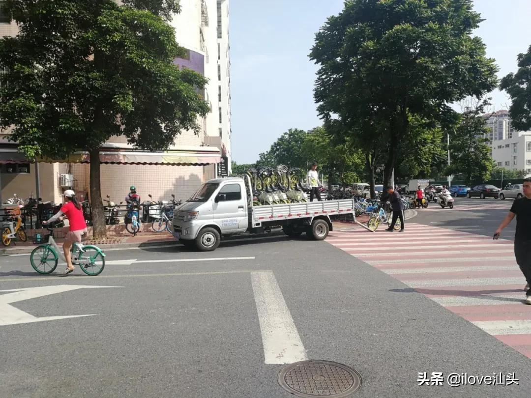 汕头共享单车何时恢复?哈啰:预计8月30日!青桔:暂未确定