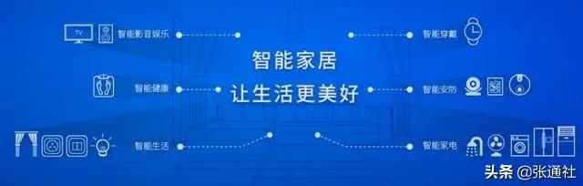 显示驱动芯片上市公司,电池管理芯片上市公司