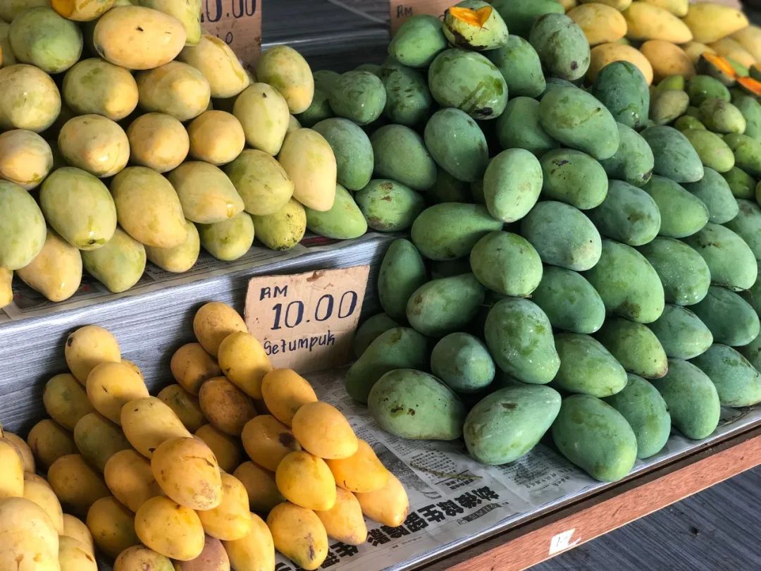 出不了门的心情,出不了门的日子让人心绪难平