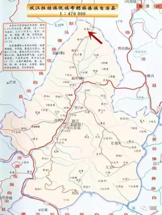 云南冰岛古树普洱茶的特点,冰岛古树普洱茶台地茶区别