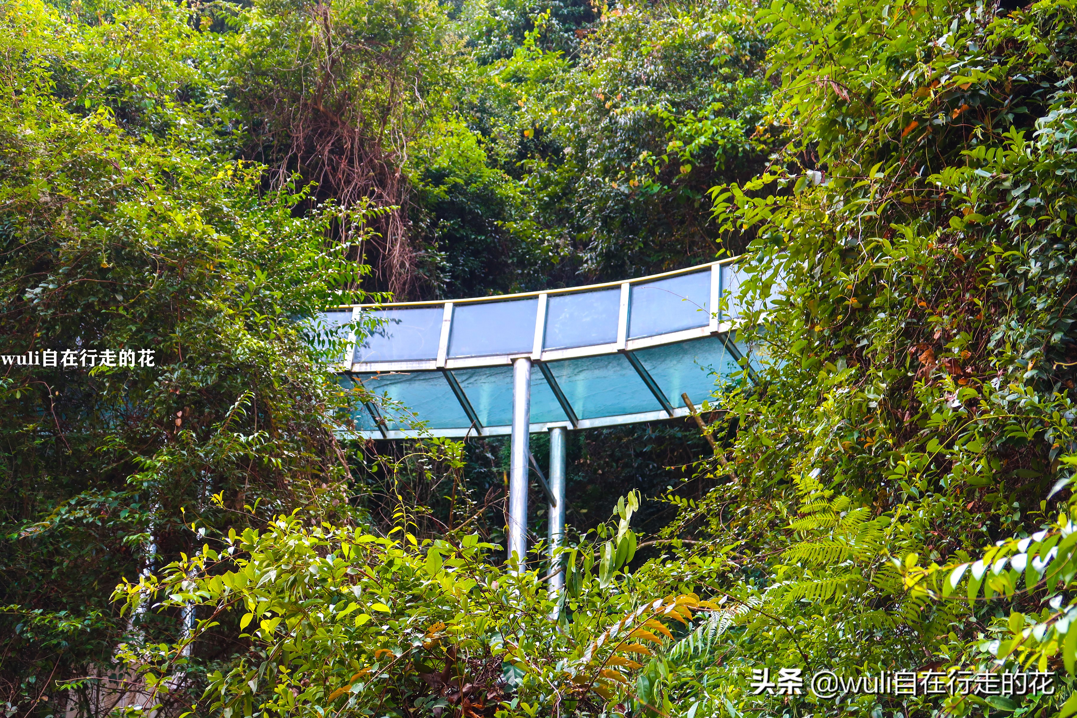 漳州长泰十里蓝山攻略,长泰县十里蓝山