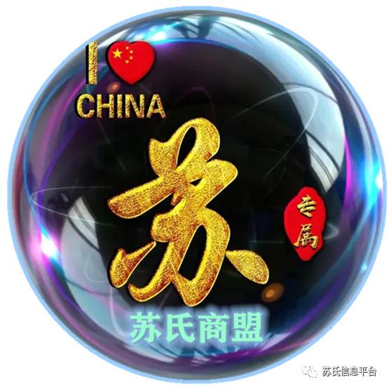 苏氏承传│苏颂孙苏师德及其子孙二三事