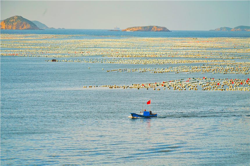 嵊泗列岛海岛推荐,嵊泗岛哪里海景最美