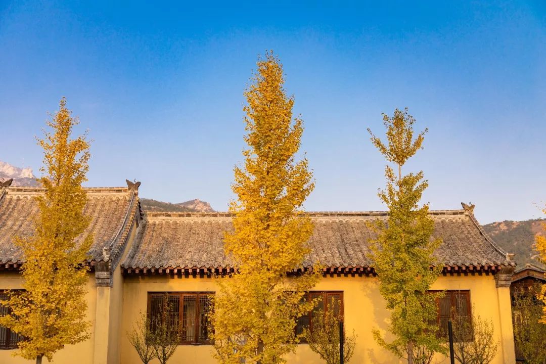 童话小镇在哪里,山东梦幻童话小镇在哪里