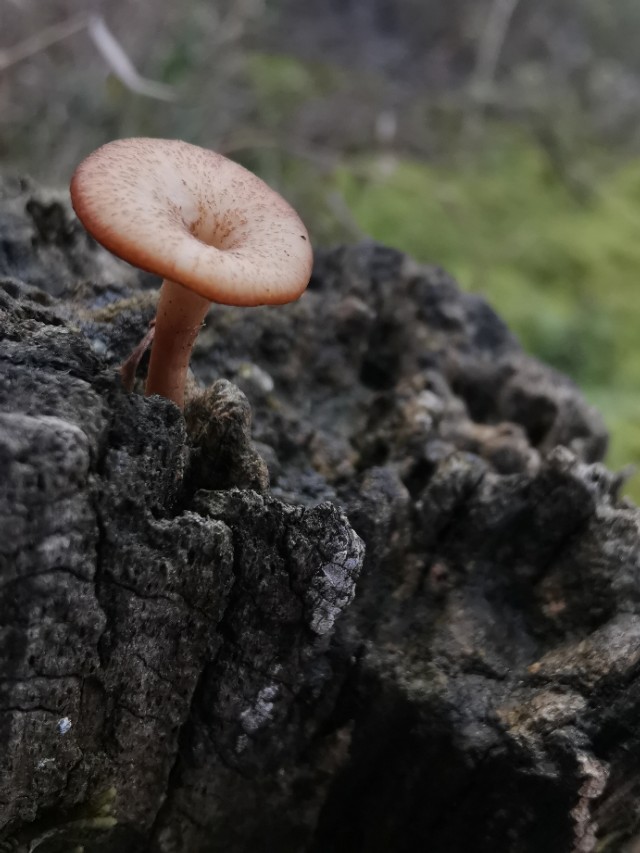 冬季适合摆什么地摊,摆地摊套圈圈的秘诀
