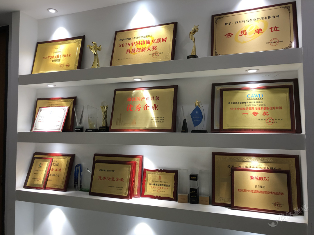 驹马物流发展,驹马物流的发展