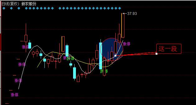 股市新的概念股一览表,新概念价值股