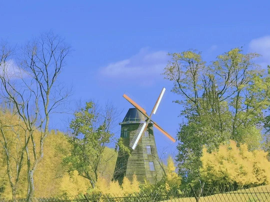 云南嵩明县未来发展规划,昆明滇中新区嵩明县发展新信息