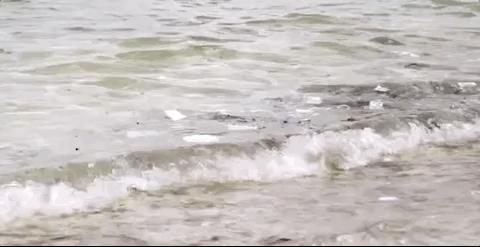 彭于晏苏有朋,彭于晏和苏有朋