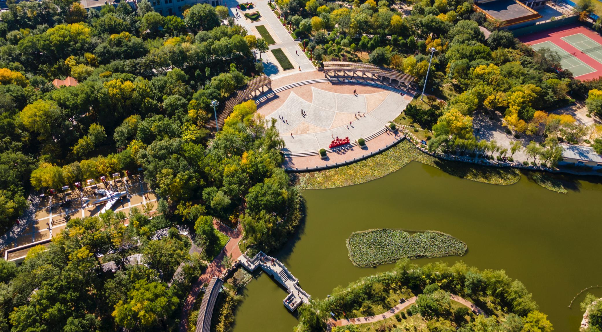天津森林公园儿童乐园项目介绍,滨海新区适合带孩子玩的公园