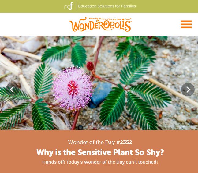 每天都要回答孩子的十万个为什么,面对孩子的十万个为什么怎么回答