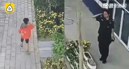 少年强则国强表演,少年强则国强歌曲