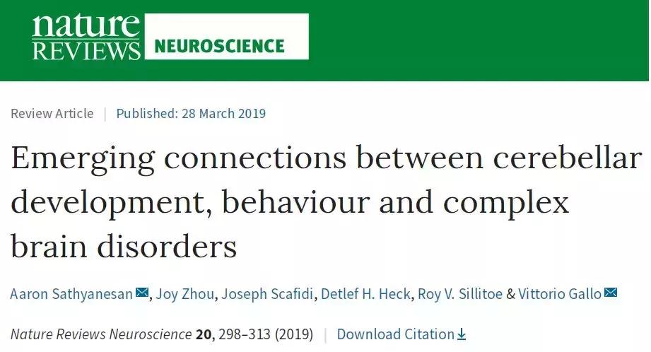 小脑的结构与功能,小脑的功能医学基础知识