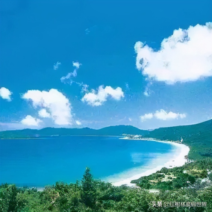 逃离北方的寒冷,逃离北方森林