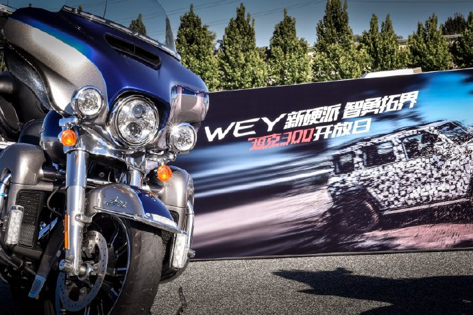 调性向前销量冲后，坦克300分析：选17.58万还是等城市版