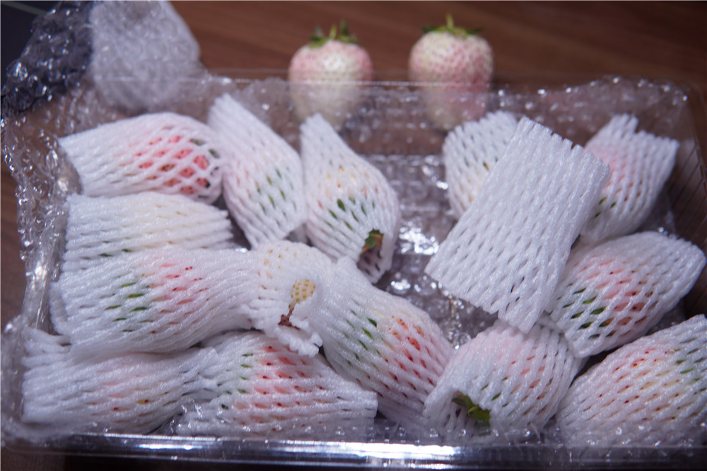 如何在网上买到真草莓,怎么在网上买正宗丹东草莓