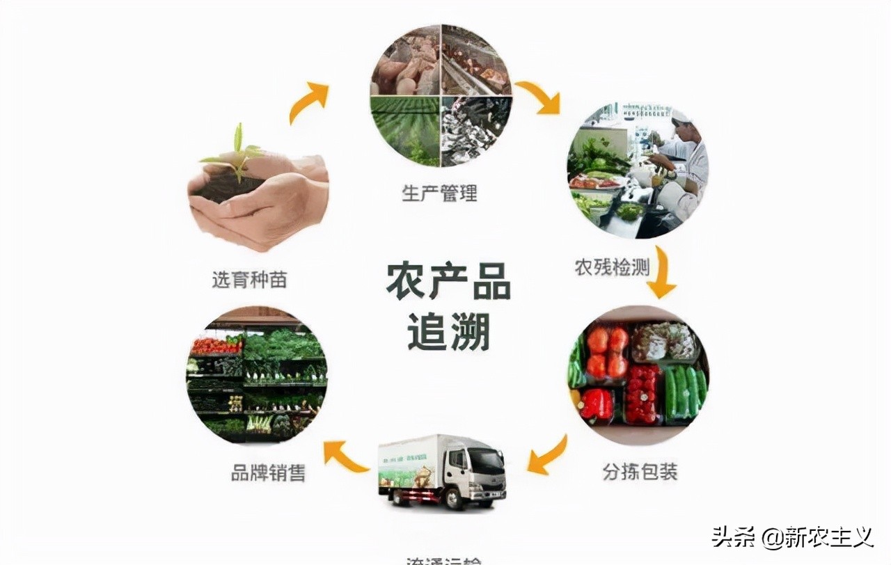 农产品采后高损耗原因及对策,农产品采后损耗