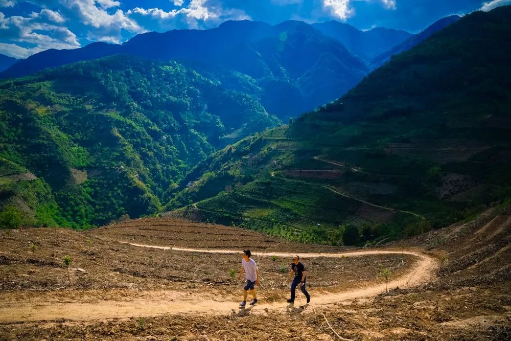 拼多多如何做商业模式,想做拼多多有几种模式
