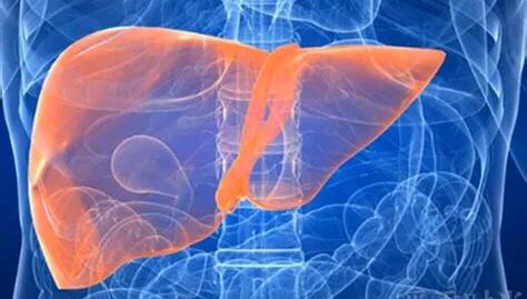 肝病和肝损伤有何区别,肝病能查出肝毒吗