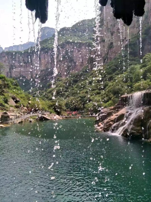 亲近自然走进自然视频,亲近自然走进自然主题墙