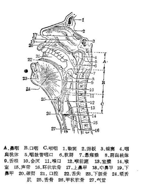 声音越唱越紧，唱歌越唱越累？四个方法来帮你