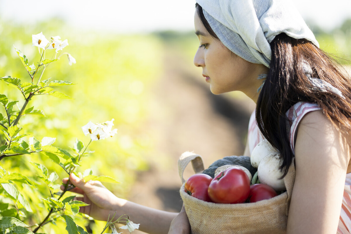专家预测2020下半年蔬菜价格走势,2021蔬菜行情分析