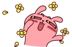 南京市足球后备人才示范学校,福建省足球示范校