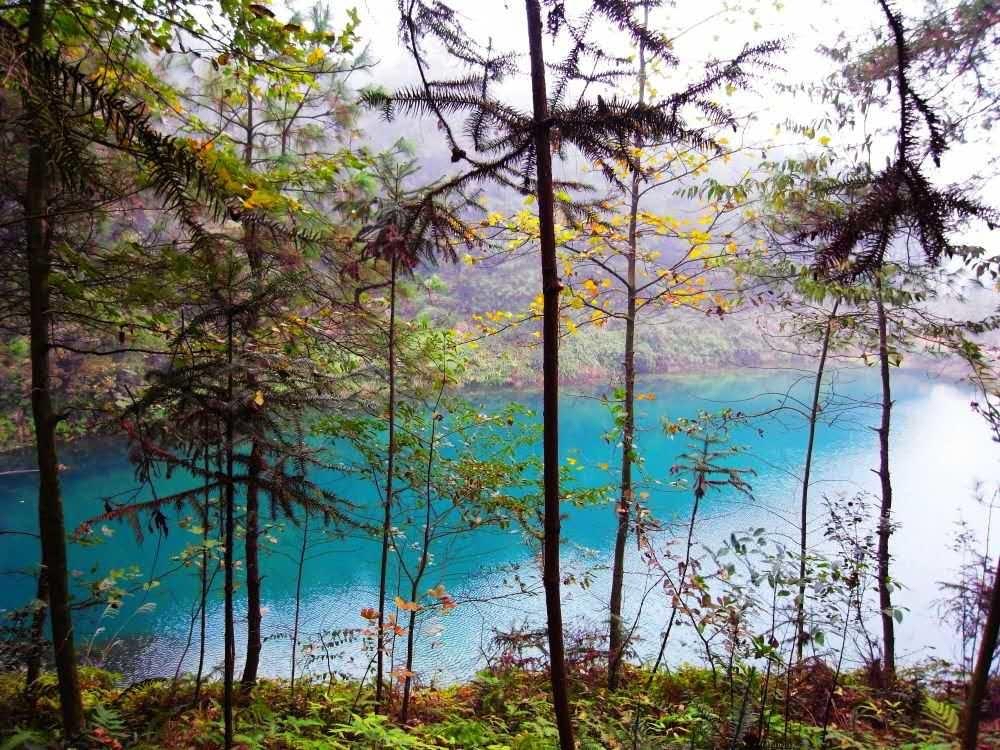 小型聚会民宿,北京延庆区民宿小院团建