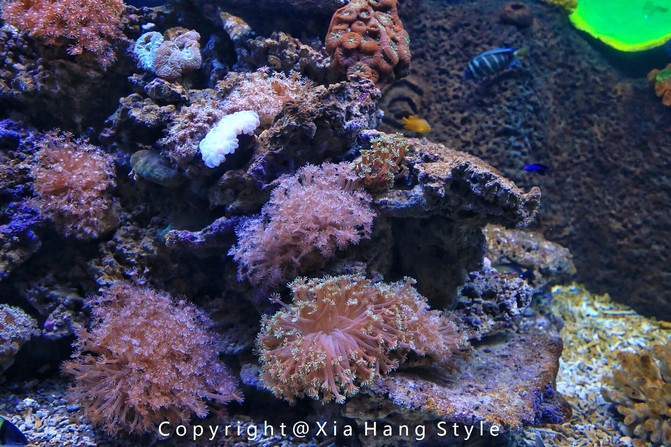 横店梦幻谷拍照景点,亲子游横店梦幻谷水世界